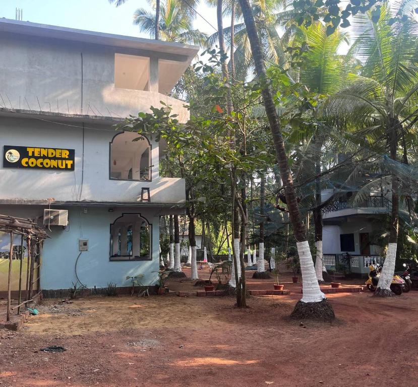 Tender Coconut