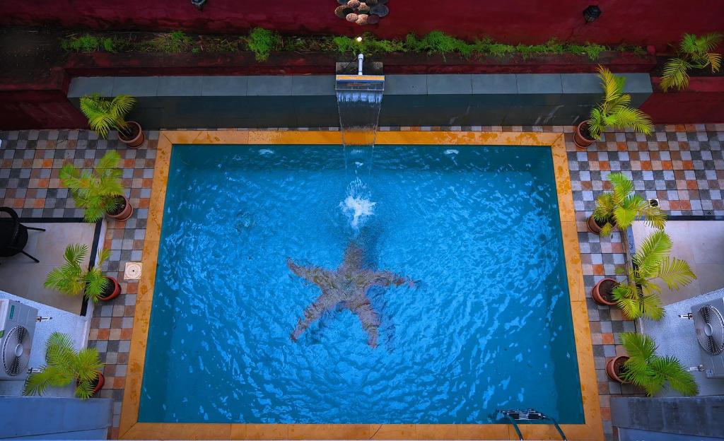 Sonnet by Lotus Leaf Hotels